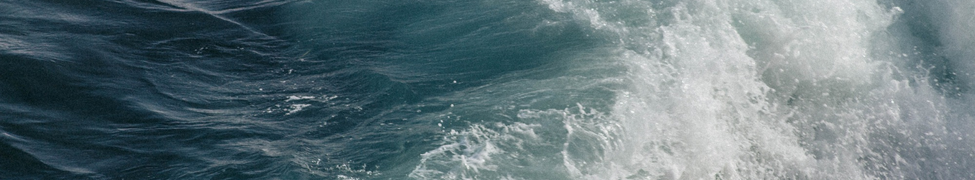 Hans Johnson — Photo