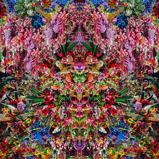 【希少レコード】WORLD'S END GIRLFRIEND / CINQ World's End Girlfriend – Last Waltz | Releases | Discogs