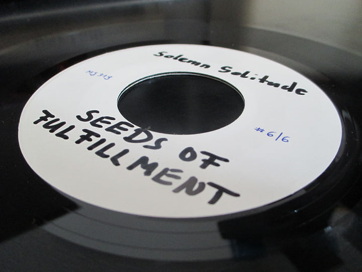 Seeds of Fulfillment / Solemn Solitude Seeds of Fulfillment / Solemn Solitude