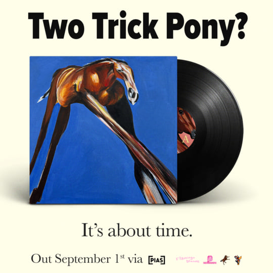 Two Trick Pony | flamingo blonde