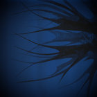 gho5t5hip thumbnail