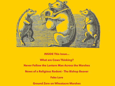 MARSHLORE ZINE - The Real and Imagined Folklore of East Anglia - Issue 1 Summer 2023 main photo