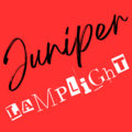 Juniper Lamplight image