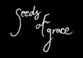 Seeds of Grace image