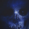 Grim Sliver image