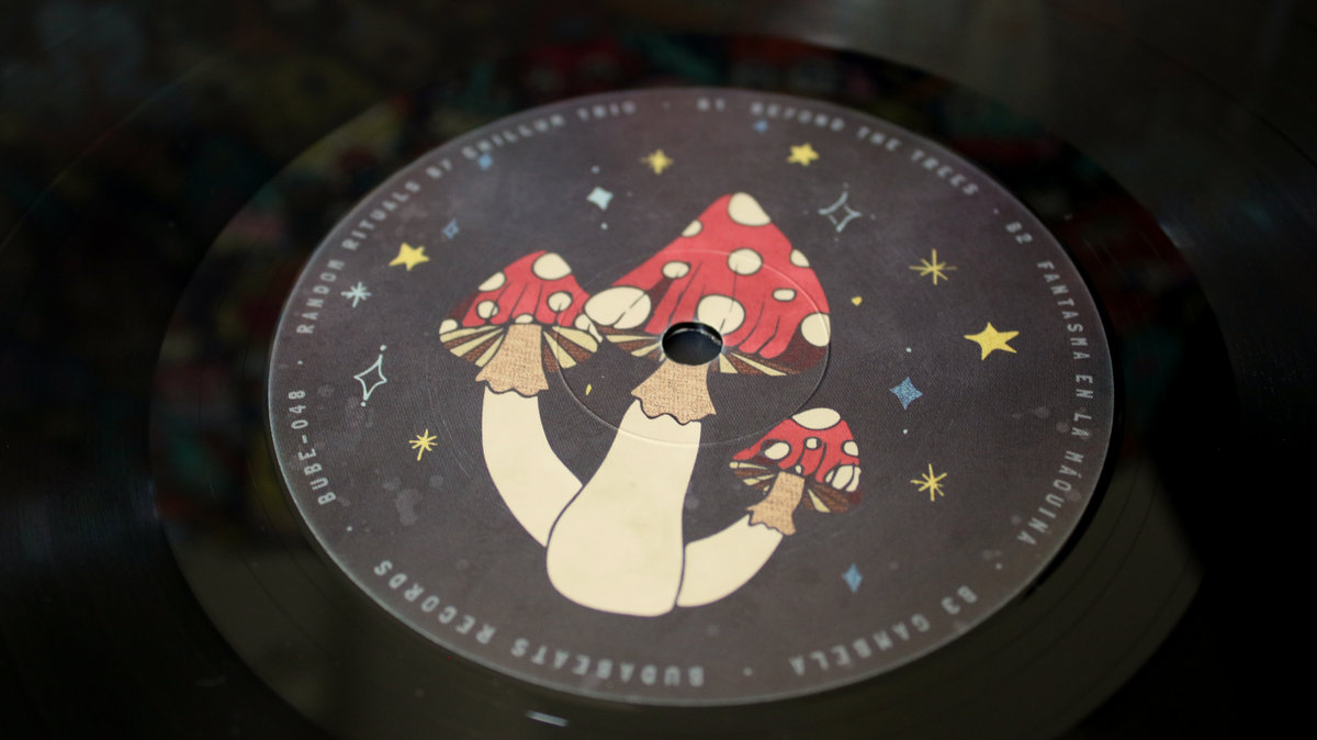 Random Rituals | Chillum Trio | Budabeats