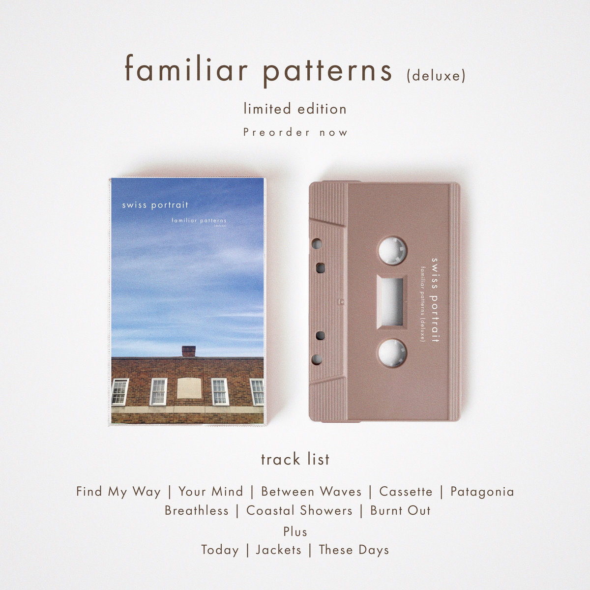 Familiar Patterns Swiss Portrait