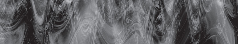 The Night Terrors — Photo