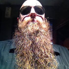 DaddyBird thumbnail