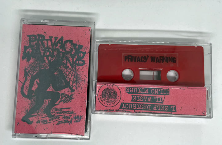 Various Artists : Family Values Tour 1999 Heavy Metal 1 Disc