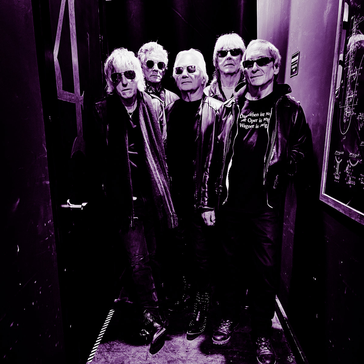 Shine Like A Radio | The Hollywood Stars