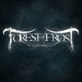 Forest of Frost image