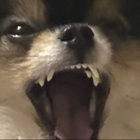 alexandermih thumbnail
