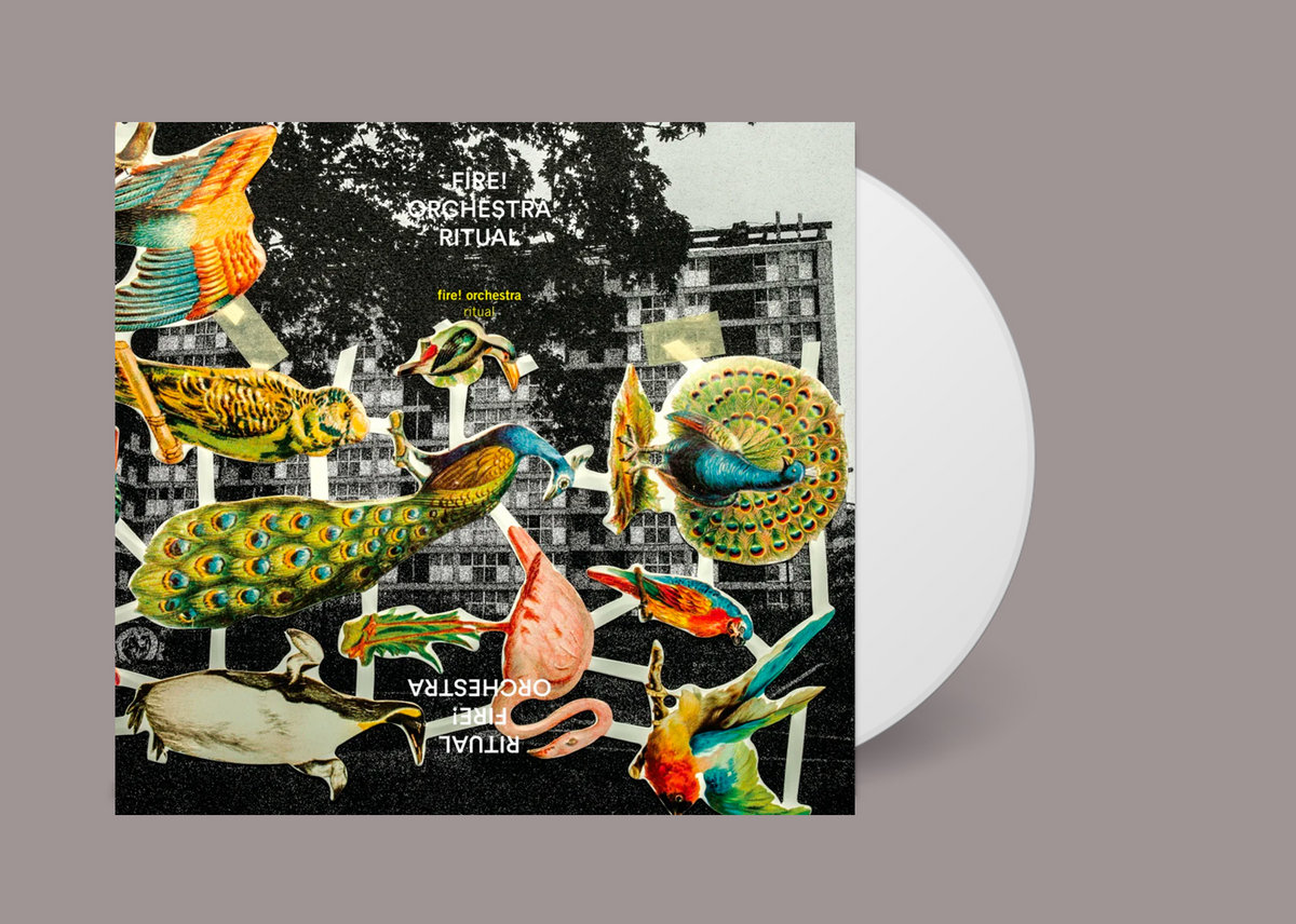 Ritual | Fire! Orchestra