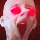 scroty thumbnail