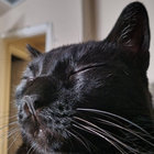 Unrepentantchuck thumbnail