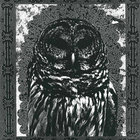shrouded.in.antiquity thumbnail