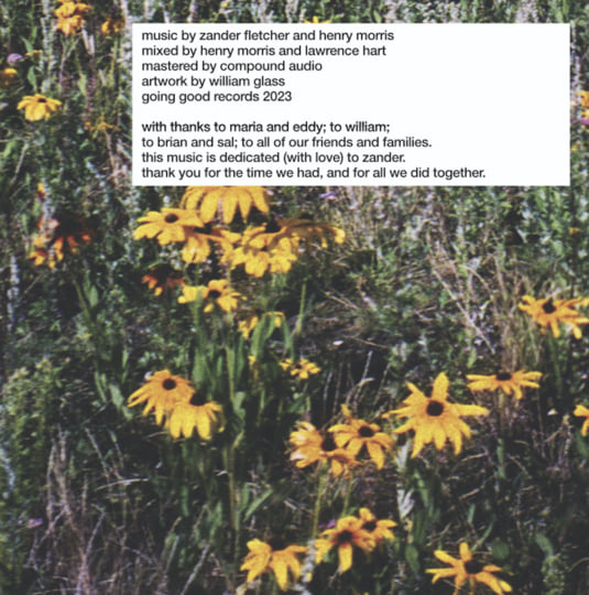 GOOD19 - Lifelike | The Soft | Going Good Records