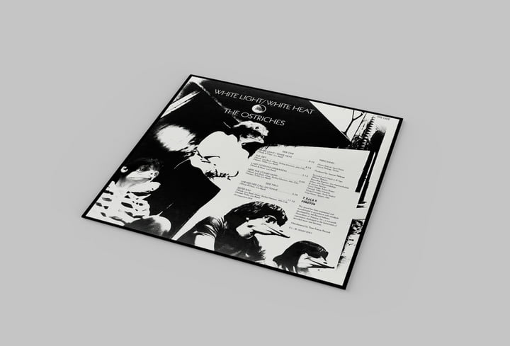 White Light/White Heat | The Ostriches