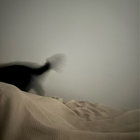 Still and Moving Lines of Silence in Families of Hyperbolas