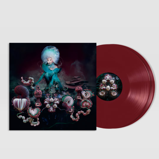 BJORK EARTH INTRDDERS LP 新品未使用 Björk – Earth Intruders | Releases | Discogs
