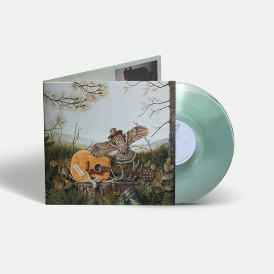 This Machine | The Dandy Warhols