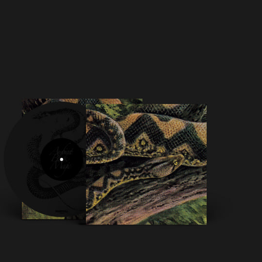 Ambient Black Magic | Rainforest Spiritual Enslavement