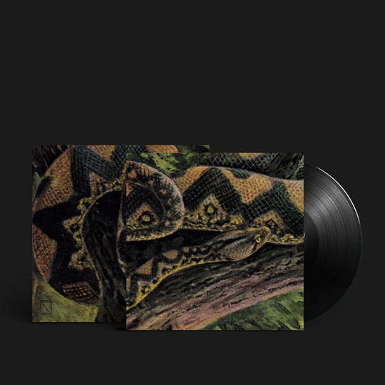 Ambient Black Magic | Rainforest Spiritual Enslavement