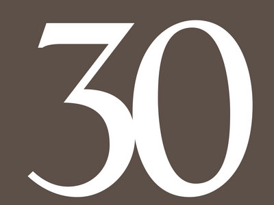 SA30: The Thirtieth Issue SOLD OUT main photo