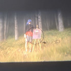 murrimurri thumbnail
