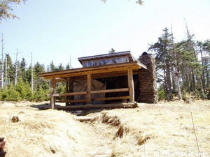 Music | Pine Martens