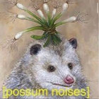 opossumking thumbnail