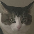 Brian thumbnail