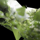 opus251 thumbnail