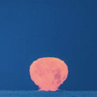 julianwijn thumbnail