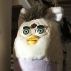 Heavily Afflicted Sheep thumbnail
