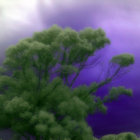 Sardonicus thumbnail