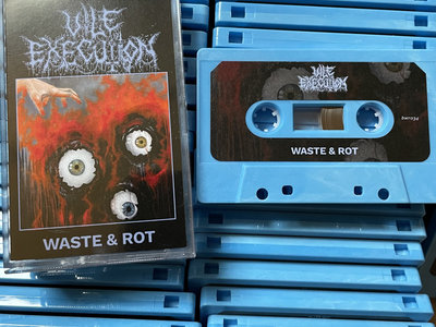 DISTRO: Vile Execution - Waste & Rot [Bent Window Records] | Orb Tapes