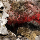 ashwill thumbnail