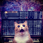 Meowtronic thumbnail
