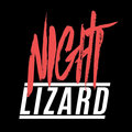 Night Lizard image