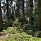 hathesys thumbnail