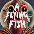 A Flying Fish image