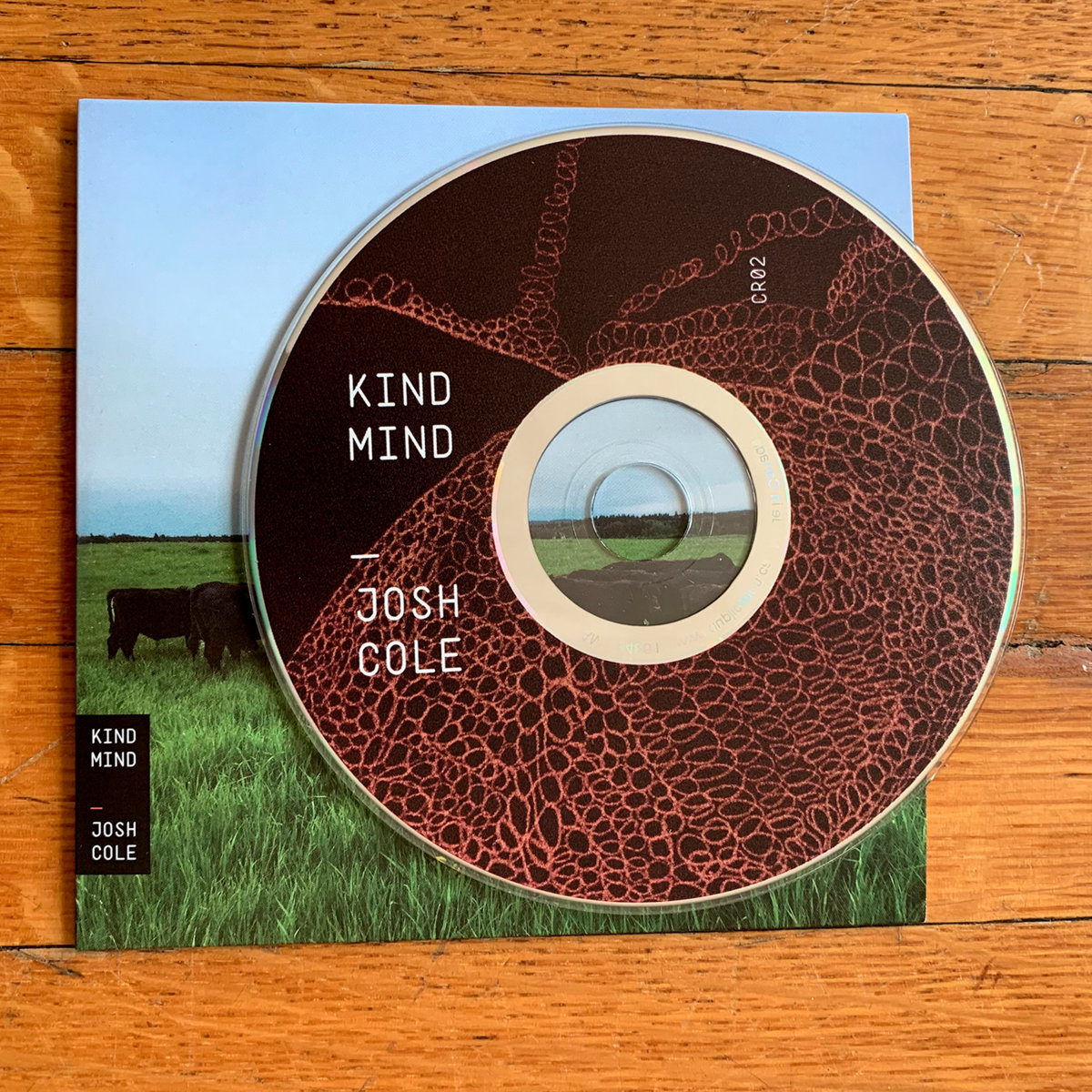 Kind Mind | Josh Cole | Cassiar Records