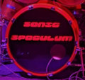 Sonic Speculum image