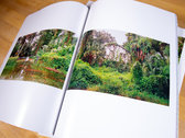 Born Last Summer - Photography Book photo 