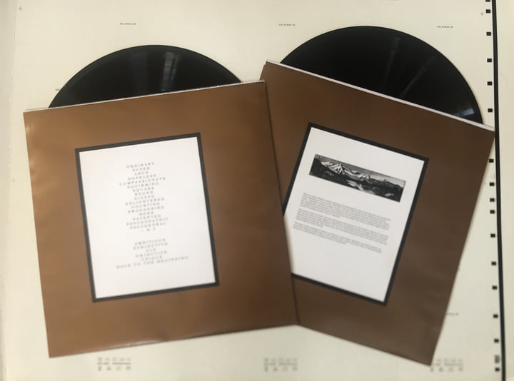 THE HAFLER TRIO ／ BRAIN SONG．限定1000！