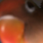 Takashi thumbnail