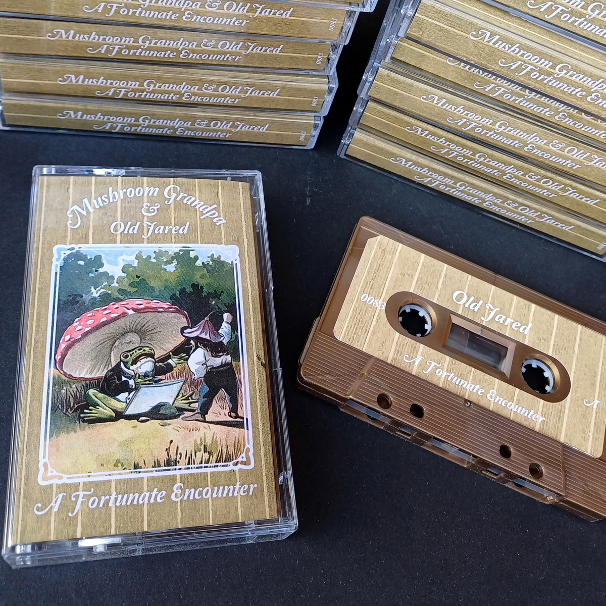 A Fortunate Encounter | Mushroom Grandpa / Old Jared | Personal  