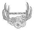 Spring State image